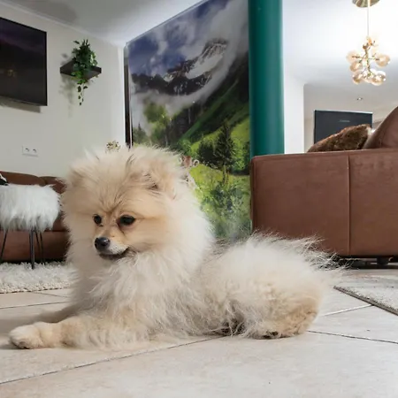 Bed & Breakfast Allgovia Garni Wangen im Allgaeu